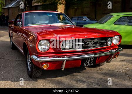 1966 Ford Mustang ’VAM 631D’ auf der Ausstellung April Scramble im Bicester Heritage Center am 23.. April 2022 statt Stockfoto