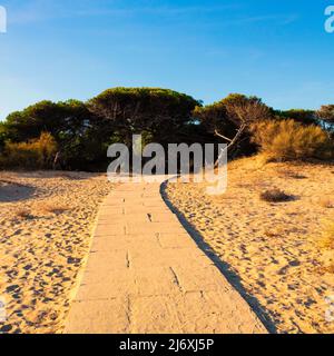 Weg durch den Sand des Strandes von Isla Cristina Stockfoto