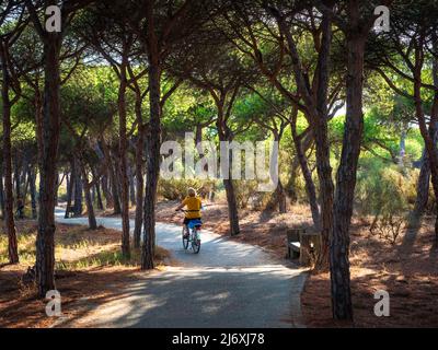 Eine Frau fährt mit dem Fahrrad auf einem Holzweg durch den Sand am Strand von Isla Cristina Stockfoto