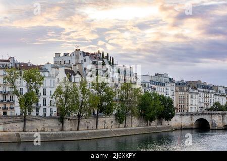 Blick am frühen Morgen auf die seine und die Gebäude der Ile Saint Louis, Paris, Ile-de-France, Frankreich Stockfoto