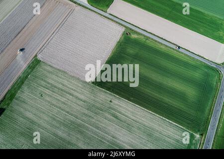 Luftaufnahme von zwei Traktoren auf Getreidefeldern Stockfoto