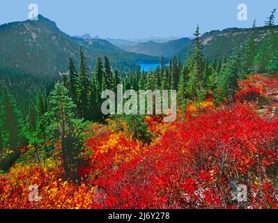 Huckleberry Fields und Dewey Lake, Mt. Rainier National Park, Washington Stockfoto