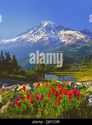 Mt Rainier aus der Tatoosh Range, Mt Rainier National Park, Washington Stockfoto