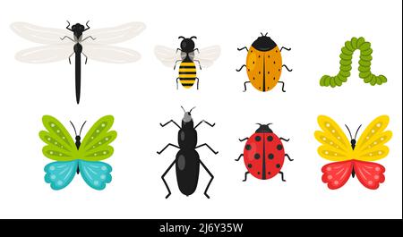 Sammlung von Insekten. Schmetterling, Käfer, Biene, Raupe, Marienkäfer, die fliege. Sommer, Frühling niedliche Tiere in Cartoon-Flat-Stil. Isoliert auf einem weißen Stock Vektor