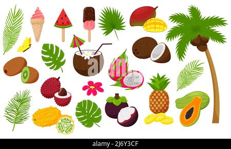 Set aus tropischen Blättern und exotischen Früchten. Palme mit Kokosnuss und Eis, Cocktail. Dekorative Elemente im flachen Cartoon-Stil für den Sommer, vaca Stock Vektor