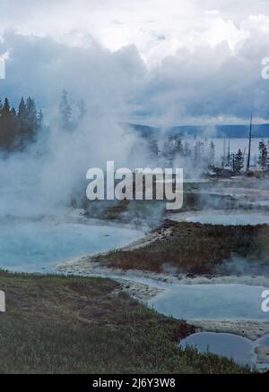 Dampf steigt aus den super beheizten Thermalbecken im Yellowstone-Nationalpark in Wyoming. Stockfoto