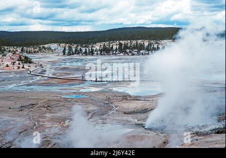 Blick auf das Porcelain Basin im nördlichen Teil des Norris Geyser Basin im Yellowstone National Park in Wyoming. Stockfoto