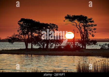 Bäume auf der Insel al littel, während die Sonne aufgeht Stockfoto