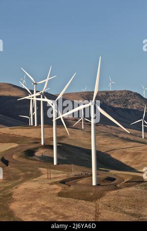 Windfarm, einheimische Flora, mit Blick auf die Columbia River Gorge, abends Licht, Washington. Stockfoto