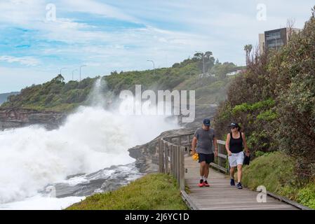 Große Meere, aufgrund eines East Coast Low, (Niederdrucksystem) umsäen die felsige Küste und den Curl Curl (Beach) Boardwalk in Sydney, NSW, Australien Stockfoto