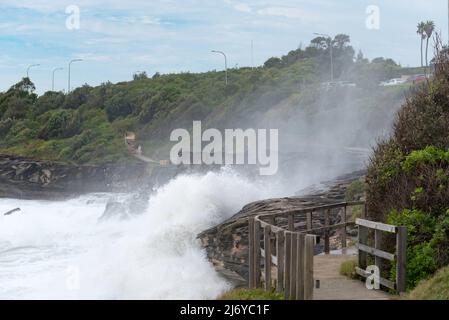 Große Meere, aufgrund eines East Coast Low, (Niederdrucksystem) umsäen die felsige Küste und den Curl Curl (Beach) Boardwalk in Sydney, NSW, Australien Stockfoto