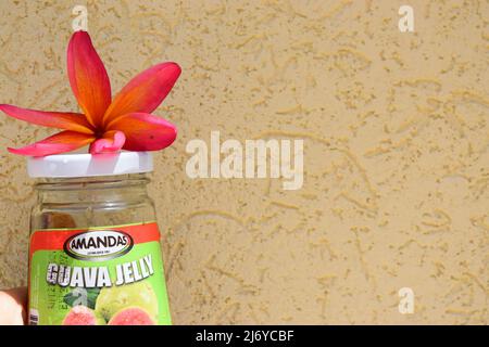 Guava-Gelee auf heller Textur. Stockfoto