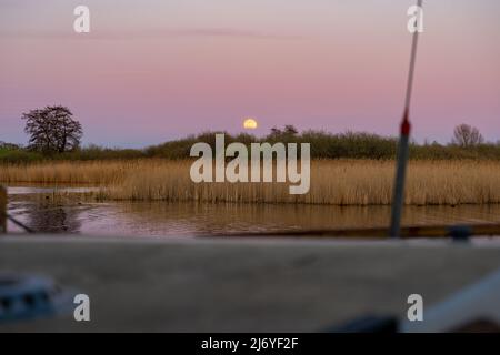 Abendlicher Mondaufgang über einem See mit einem alten Boot im Vordergrund. Strahlender Vollmond über dem Horizont. Idyllischer Abend in der Natur mit Wasser. Stockfoto