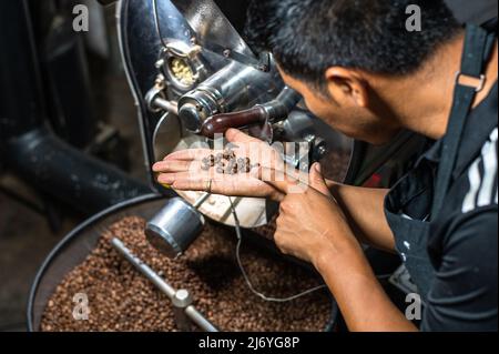 Kaffeeröstermaschine beim Rösten von Kaffee. Der Barista beobachtet das Rösten des Kaffees Stockfoto