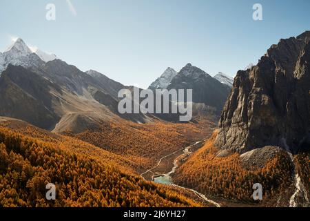 Ein Flusstal mit Herbstlaub, das durch die Berge im yading Nationalpark, Bezirk daocheng, Provinz sichuan, china, fließt Stockfoto