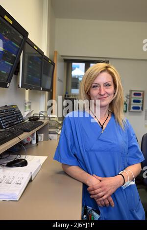 PRODUKTION - 04. Mai 2022, Nordrhein-Westfalen, Neuss: Kateryna Nezhentseva, ukrainische Krankenschwester am Rheinland Klinikum in Neuss, steht auf ihrer Station. Ein Großteil der Flüchtlinge aus der Ukraine sind Frauen, die in den deutschen Arbeitsmarkt integriert werden sollen. Foto: Federico Gambarini/dpa Stockfoto