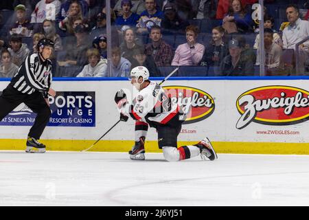 4. Mai 2022: Der Stürmer der Belleville-Senatoren Cole Reinhardt (23) feiert, nachdem er in der ersten Periode ein Tor gegen die Rochester-Amerikaner erzielt hatte. Die Rochester Americans veranstalteten die Belleville Senators in einem Playoffs-Spiel der American Hockey League Calder Cup in der Blue Cross Arena in Rochester, New York. (Jonathan Tenca/CSM) Stockfoto