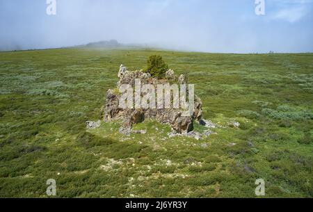 Einsame Steinklippe am Berghang. An der Spitze wächst ein Zedernbaum. Seminsky Gebirge im Altai, Sibirien. Stockfoto