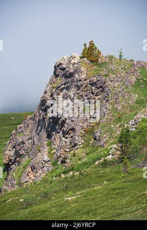 Einsame Steinklippe am Berghang. An der Spitze wächst ein Zedernbaum. Seminsky Gebirge im Altai, Sibirien. Stockfoto