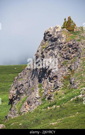 Einsame Steinklippe am Berghang. An der Spitze wächst ein Zedernbaum. Seminsky Gebirge im Altai, Sibirien. Stockfoto