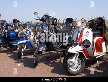 Klassischer Motorroller trifft sich in Skegness, Lincolnshire, Großbritannien Stockfoto