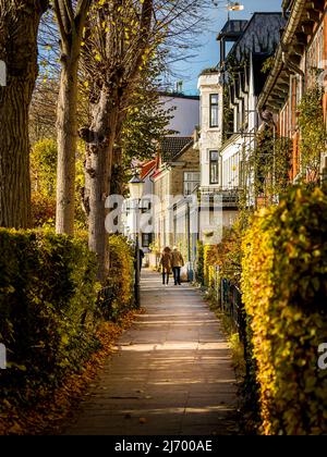 Rückansicht eines nicht erkennbaren erwachsenen Paares, das die Hände hält und an einem idyllischen Herbsttag entlang einer von Bäumen gesäumten Allee in der Ferne läuft. Stockfoto