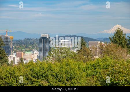 Blick auf Mt. Hood und die Stadt Portland, Oregon, vom Washington Park aus. Stockfoto