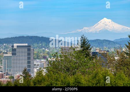 Blick auf Mt. Hood und die Stadt Portland, Oregon, vom Washington Park aus. Stockfoto