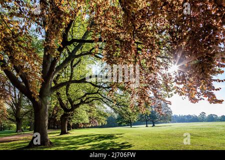 Northampton, Großbritannien. Wetter 5. Mai 2022. Ein herrlicher sonniger Morgen im Abington Park eine angenehme Abwechslung vom trüben grauen Wetter der späten Nacht. Kredit: Keith J Smith./Alamy Live Nachrichten. Stockfoto