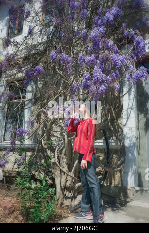 Die hübsche junge Frau steht neben der Glyzinie. Mädchen genießen Frühling Zeit. Outfit für den Frühling. Stockfoto