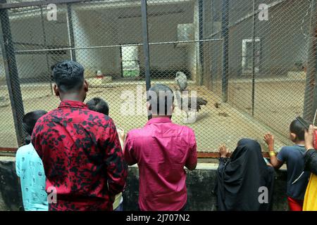 Nach zwei Jahren pandemisch verursachter Schließung wurde die Wiedereröffnung des Mirpur National Zoo am Tag nach dem 04. Mai 2022 in Dhaka, Bangladesch, von tausenden Besuchern begrüßt. Foto von Habibur Rahman/ABACAPRESS.COM Stockfoto
