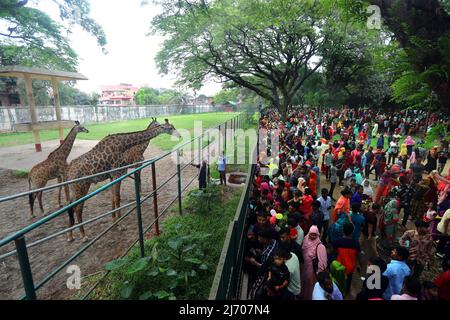 Nach zwei Jahren pandemisch verursachter Schließung wurde die Wiedereröffnung des Mirpur National Zoo am Tag nach dem 04. Mai 2022 in Dhaka, Bangladesch, von tausenden Besuchern begrüßt. Foto von Habibur Rahman/ABACAPRESS.COM Stockfoto