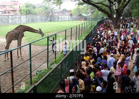 Nach zwei Jahren pandemisch verursachter Schließung wurde die Wiedereröffnung des Mirpur National Zoo am Tag nach dem 04. Mai 2022 in Dhaka, Bangladesch, von tausenden Besuchern begrüßt. Foto von Habibur Rahman/ABACAPRESS.COM Stockfoto