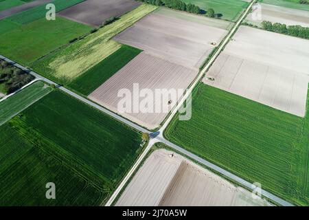 Luftaufnahme von der Drohne, eine Vogelperspektive auf landwirtschaftliche Felder mit einer Durchfahrt und einem Traktor auf ihr im Frühjahr Stockfoto