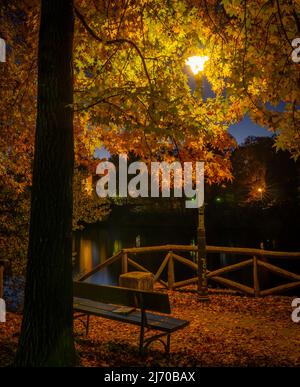 Ein Blick vom Valentino Park auf die Flüsse po und borgo medievale Stockfoto