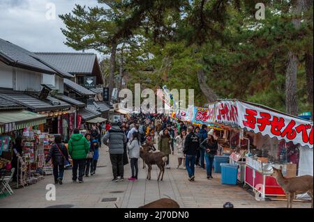 Nara, Japan - 5. Januar 2020. Außenaufnahme des Nara Parks. Nara ist eine historische Stadt in Japan, berühmt für ihre vielen Tempel und Schreine. Viele Menschen besuchen die ersten Tage des neuen Jahres. Stockfoto