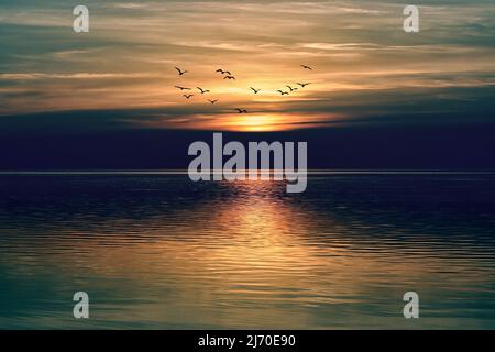 Dramatischer Sonnenuntergang über ruhigem Meer mit fliegenden Vögeln Stockfoto