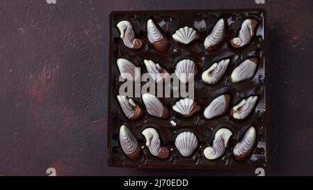 Belgische Muschelschalen traditionelle Schokoladen-Bonbons. Belgische Milchschokoladenbonbons in Muschelform mit Muscheln, Seepferdeln Stockfoto