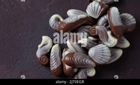 Belgische Muschelschalen traditionelle Schokoladen-Bonbons. Belgische Milchschokoladenbonbons in Muschelform mit Muscheln, Seepferdeln Stockfoto