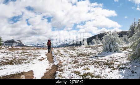 Wandern auf einem verschneiten Wanderweg, Mt Assiniboine Provincial Park, Kanada Stockfoto