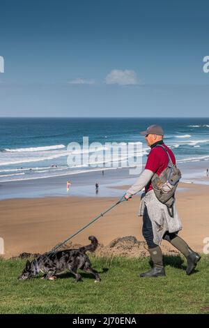 Ein Hundespaziergänger und sein Hund wandern entlang der Küste mit Blick auf das Meer in Cornwall. Stockfoto