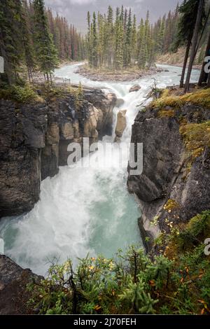 Wunderschöner alpiner Wasserfall an einem bewölkten Tag, vertikale Aufnahme, Jasper National Park, Kanada Stockfoto