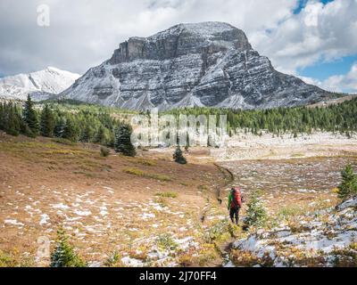 Wanderer im Hinterland, der an einem bewölkten Tag zum großen Berg geht, Mt Assiniboine Prov Park, Kanada Stockfoto