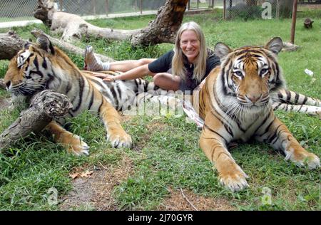 VICKY KEAHEY IM OUTDOOR TIGER AREA. VICKY HAT ZUSAMMEN MIT FREIWILLIGEN DUTZENDE VON GROSSKATZEN VON PRIVATEN BESITZERN IM GANZEN STAAT GERETTET. ES WIRD GESCHÄTZT, DASS ES IN DEN USA MINDESTENS DOPPELT SO VIELE TIGER GIBT (MEHRHEITLICH IN DEN USA GEZÜCHTET) WIE DIE GESAMTE WILDPOPULATION DER WELT. PICTURE : GARY ROBERTS Stockfoto