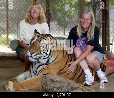 R-L VICKY KEAHEY UND SUSAN CANNON BEI IN-SYNC EXOTIC. MIT TACOMA GERETTET ALS CUB. VICKY HAT ZUSAMMEN MIT FREIWILLIGEN DUTZENDE VON GROSSKATZEN VON PRIVATEN BESITZERN IM GANZEN STAAT GERETTET. ES WIRD GESCHÄTZT, DASS ES IN DEN USA MINDESTENS DOPPELT SO VIELE TIGER GIBT (MEHRHEITLICH IN DEN USA GEZÜCHTET) WIE DIE GESAMTE WILDPOPULATION DER WELT. PICTURE : GARY ROBERTS Stockfoto