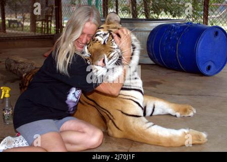 VICKY KEAHEY MIT TACOMA ALS CUB GERETTET. VICKY HAT ZUSAMMEN MIT FREIWILLIGEN DUTZENDE VON GROSSKATZEN VON PRIVATEN BESITZERN IM GANZEN STAAT GERETTET. ES WIRD GESCHÄTZT, DASS ES IN DEN USA MINDESTENS DOPPELT SO VIELE TIGER GIBT (MEHRHEITLICH IN DEN USA GEZÜCHTET) WIE DIE GESAMTE WILDPOPULATION DER WELT. PICTURE : GARY ROBERTS Stockfoto