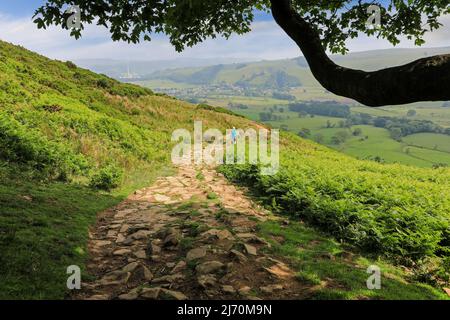 Eine Frau, die vom Mam Tor, einem Hügel in der Nähe von Castleton im High Peak of Derbyshire, Peak District National Park, England, einen gepflasterten Weg hinunter geht Stockfoto