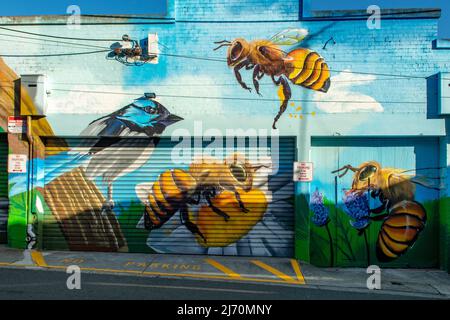 Fairy Wren and Bees Street Art, Baylie Place, Geelong, Victoria, Australien Stockfoto