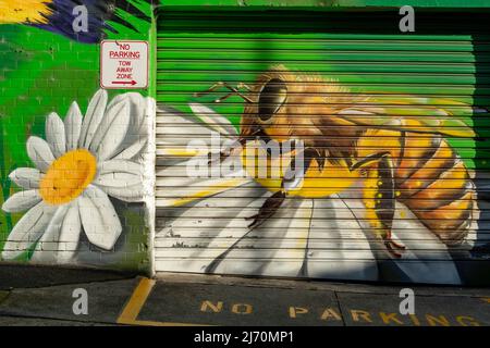 Bee on Flower Street Art, Baylie Place, Geelong, Victoria, Australien Stockfoto