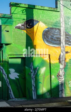 Oriole Street Art, Baylie Place, Geelong, Victoria, Australien Stockfoto